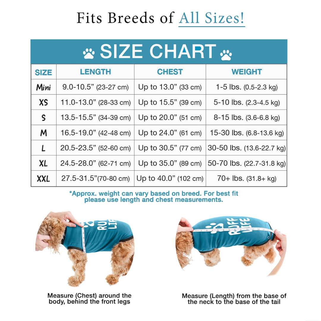 Dog-Listing-Web_02 (1)