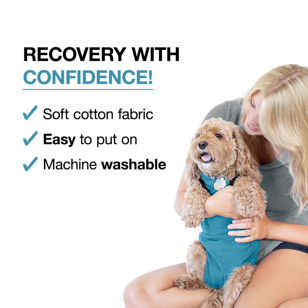 Dog-Listing-Web_04 (1)