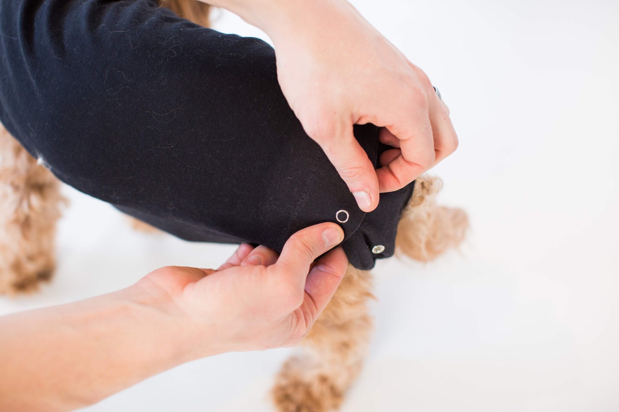 BellyGuard Dog Recovery Onesie Valley Pets