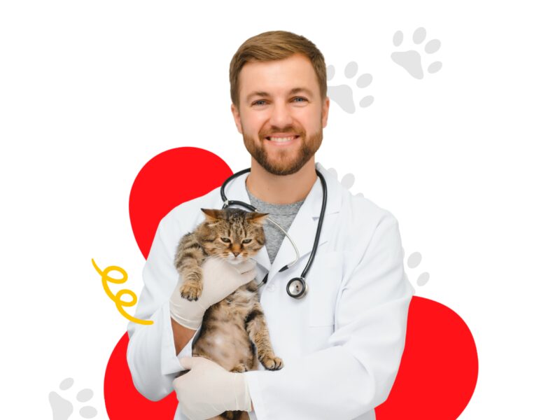 Veterinary Conferences