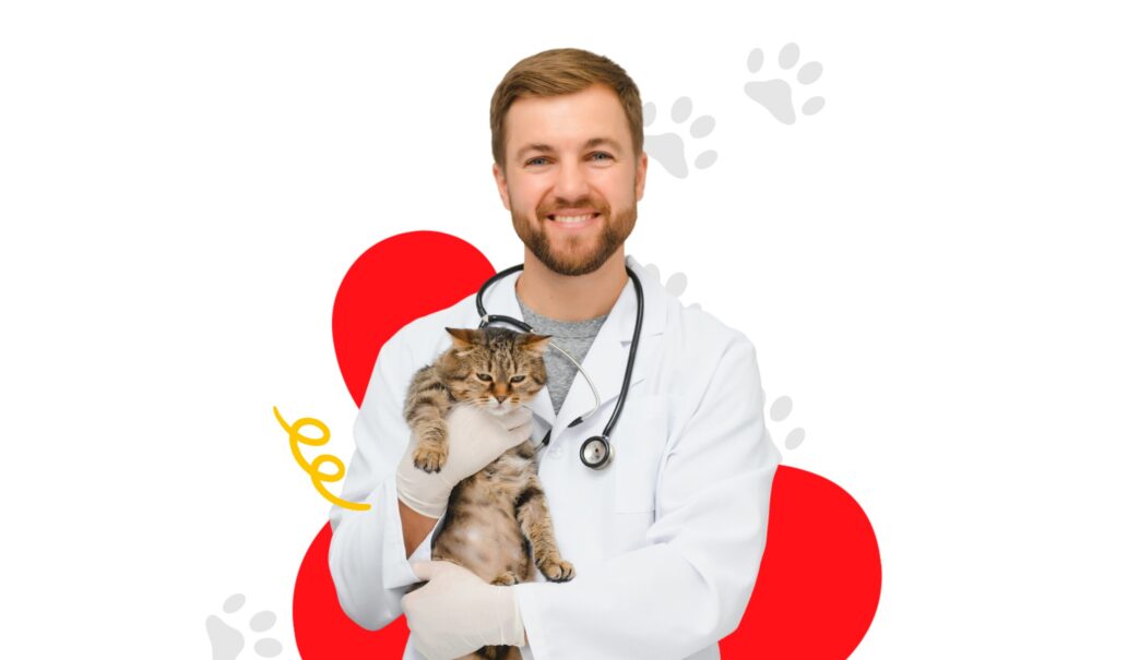 Veterinary Conferences