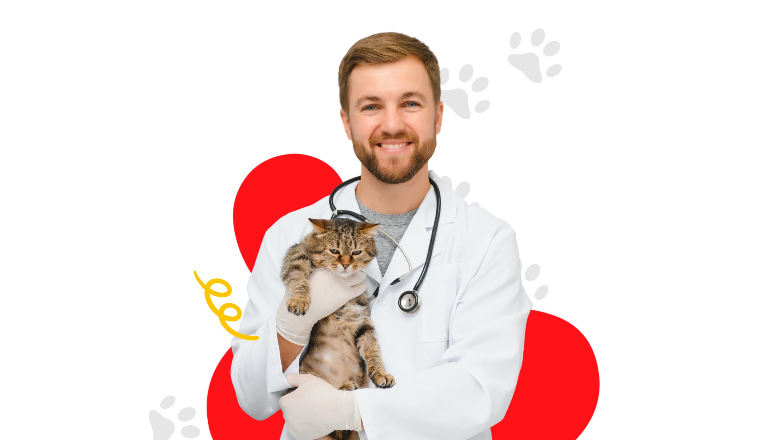 Veterinary Conferences